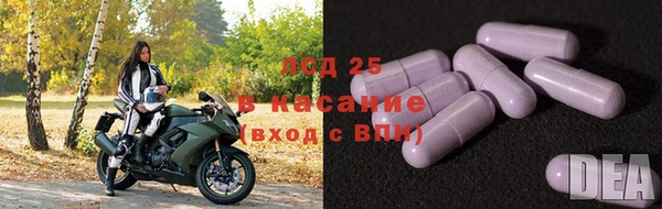 СК Белокуриха